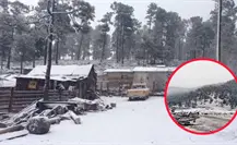 ¿De qué viven los habitantes de La Rosilla, pueblo de Durango llamado el congelador de México? ¿De qué viven los habitantes de La Rosilla, pueblo de Durango llamado el congelador de México?