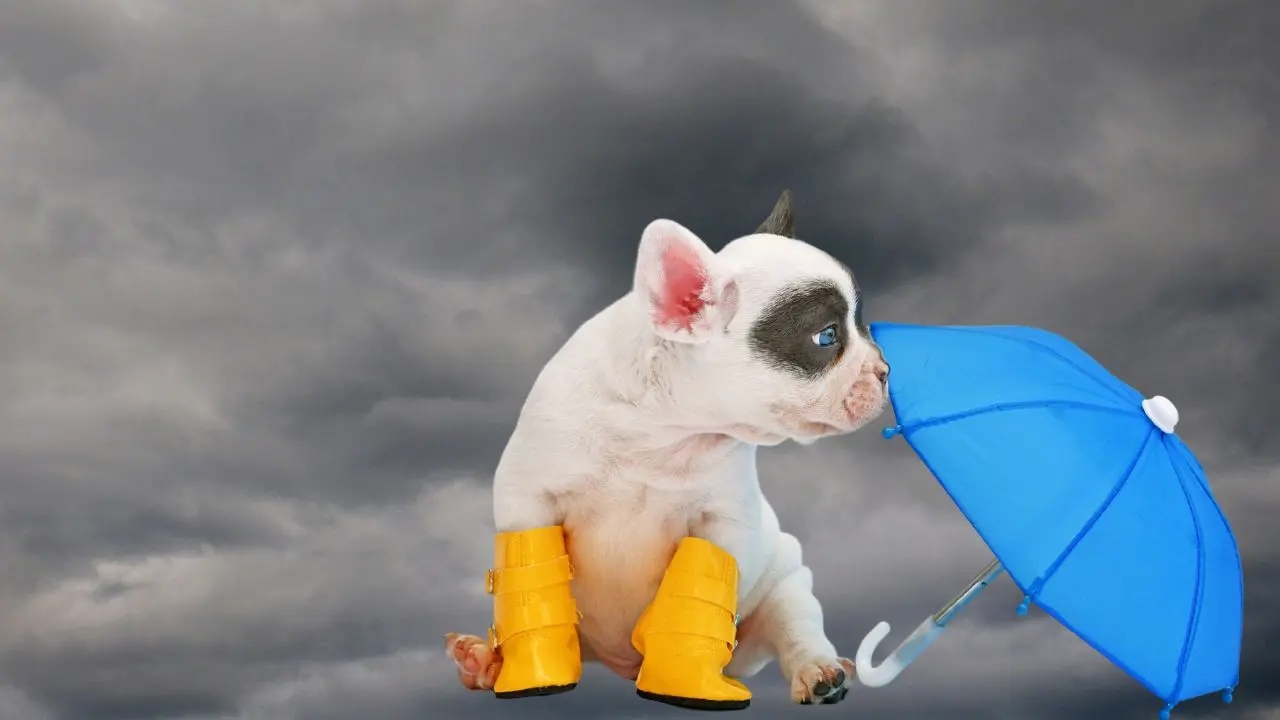 Al fondo, aspecto de los nublados que se pronostican en la región por los efectos del frente frío número 16.- Fuente Canva