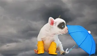 Lluvias moderadas a fuertes en Yucatan por el frente frío número 16 este miércoles 26 de noviembre