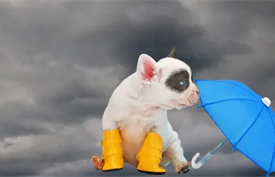 Lluvias moderadas a fuertes en Yucatan por el frente frío número 16 este miércoles 26 de noviembre