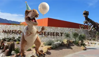 Museo del Desierto en Saltillo cumple 26 años: 3 razones por las que debes visitarlo
