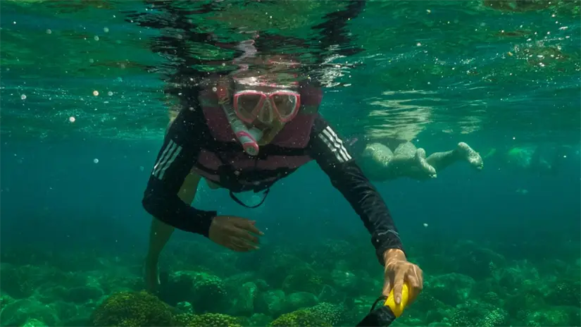 imagen recuadro Visitante practicando snorkel con chaleco salvavidas, una medida obligatoria durante el nado con tiburón ballena. Foto Buenamar Tours