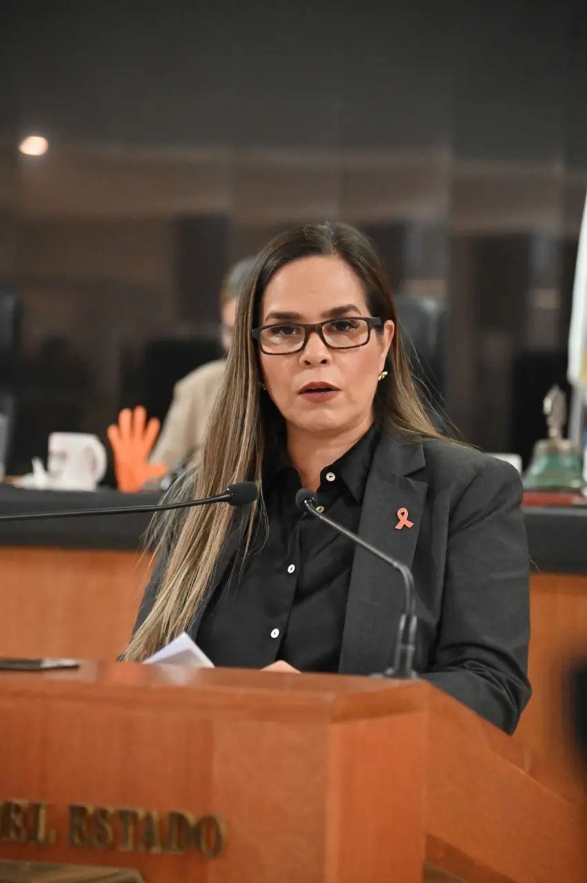 imagen recuadro Diputada local, Gabriela Montoya. Foto CongresoAhora BCS / Facebook.