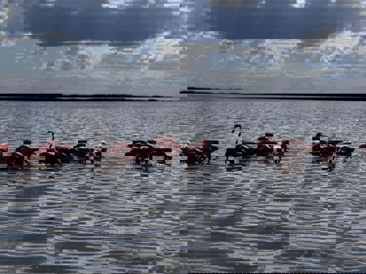 imagen-cuerpo imagen-cuerpo