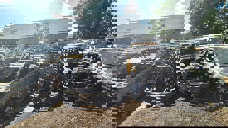 imagen-cuerpo imagen-cuerpo