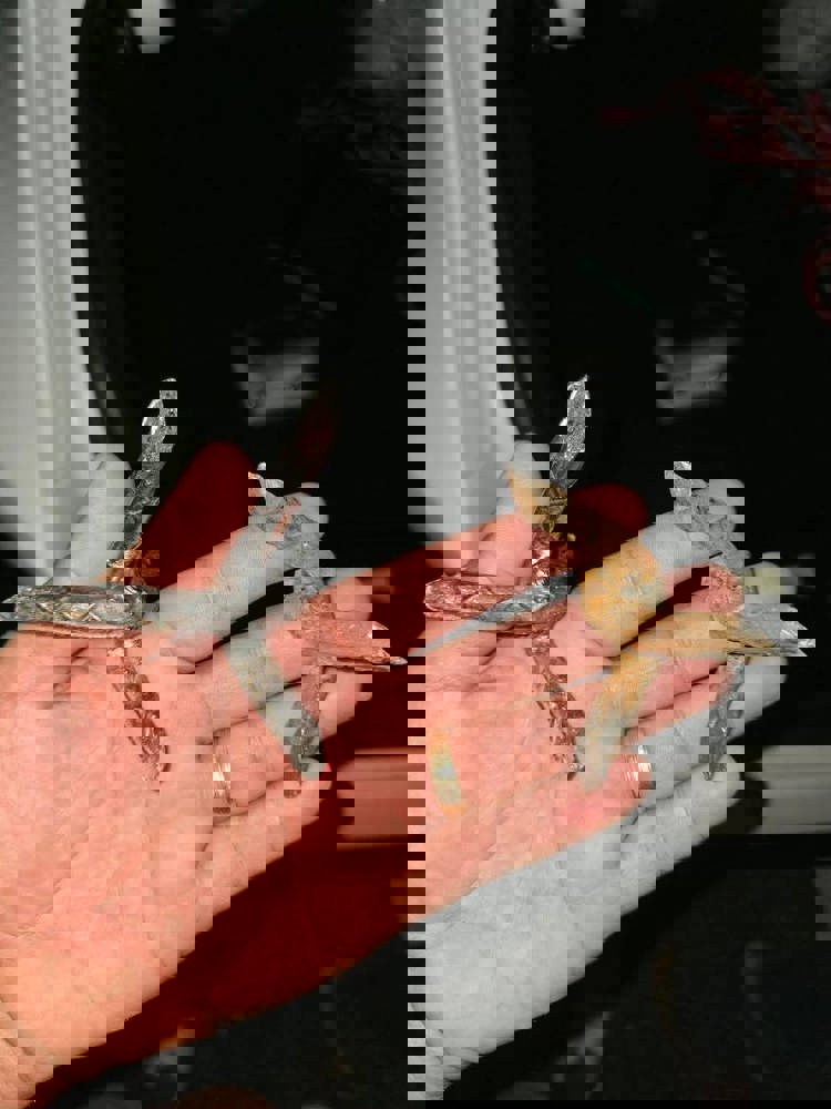 imagen-cuerpo imagen-cuerpo