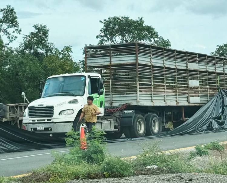 imagen-cuerpo imagen-cuerpo