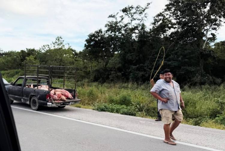 imagen-cuerpo imagen-cuerpo