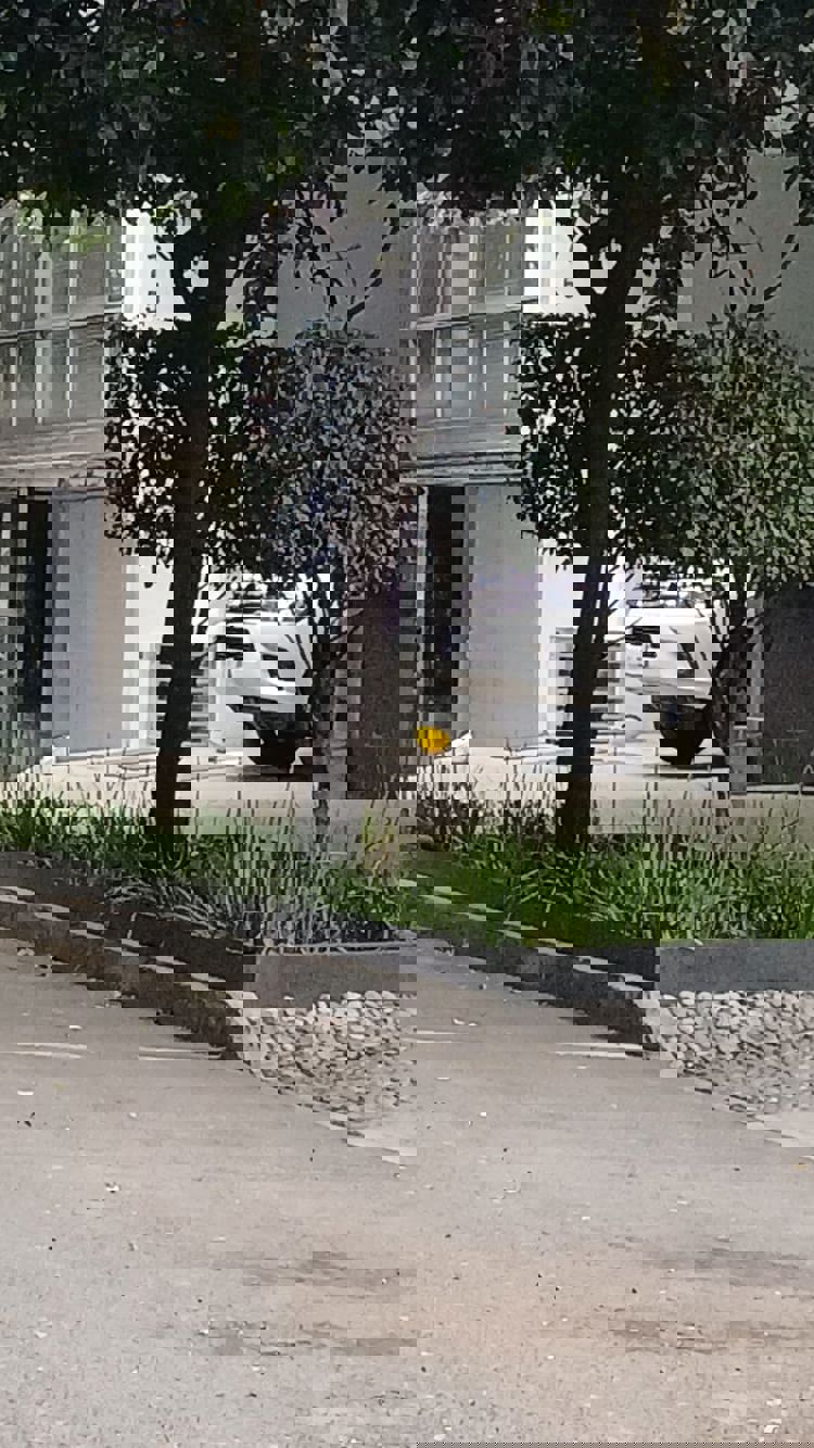 imagen-cuerpo imagen-cuerpo