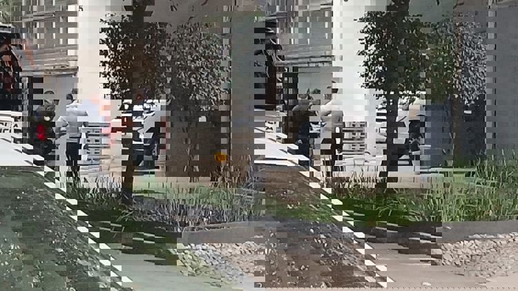 imagen-cuerpo imagen-cuerpo