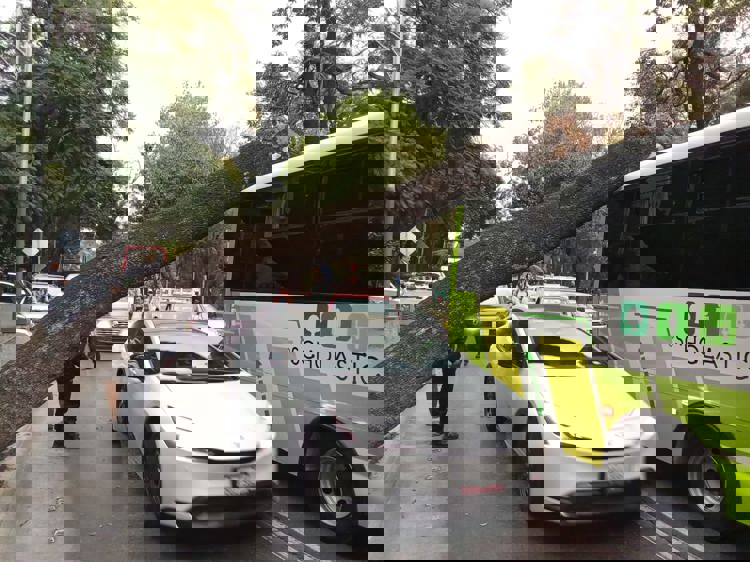 imagen-cuerpo imagen-cuerpo