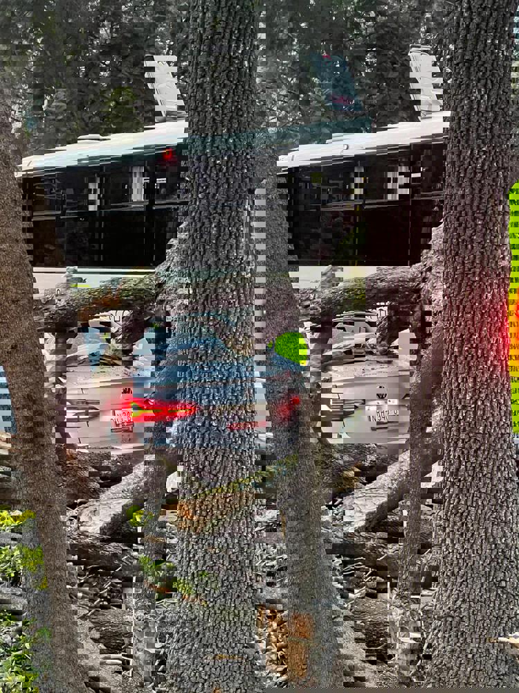 imagen-cuerpo imagen-cuerpo