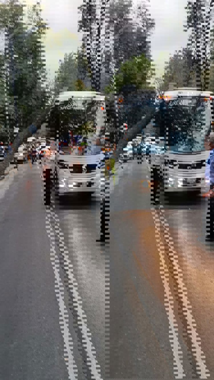 imagen-cuerpo imagen-cuerpo