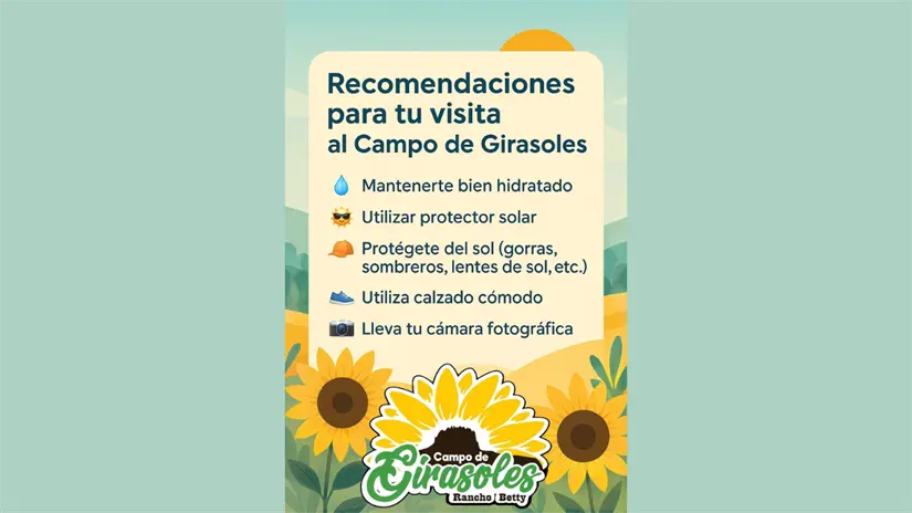Recomendaciones para visitar el campo de girasoles | Foto: Campo de Girasoles Rancho Betty González Tamaulipas