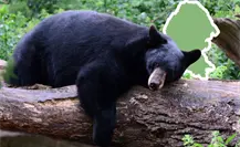 Corredor Biocultural Frontera Norte: esto implica la integración de Coahuila al proyecto ambiental