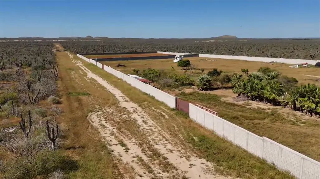 Metiches por naturaleza está denunciando a un extranjero que está deforestando en el ejido conquista agraria
