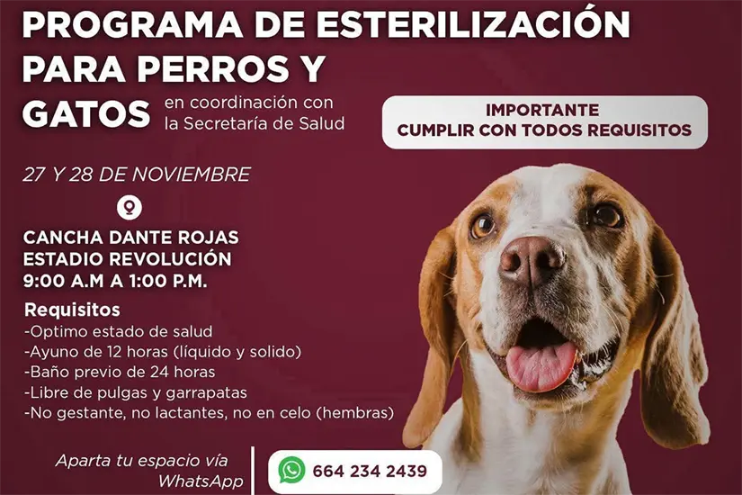 imagen recuadro Foto: Salud BCS.