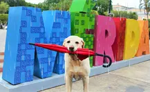 Aviso especial por Frente Frío 16: ¿qué efectos tendrá en la Península de Yucatán? Aviso especial por Frente Frío 16: ¿qué efectos tendrá en la Península de Yucatán?