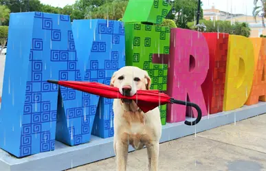 Aviso especial por Frente Frío 16: ¿qué efectos tendrá en la Península de Yucatán?