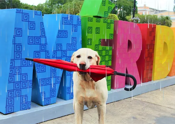 Aviso especial por Frente Frío 16: ¿qué efectos tendrá en la Península de Yucatán?