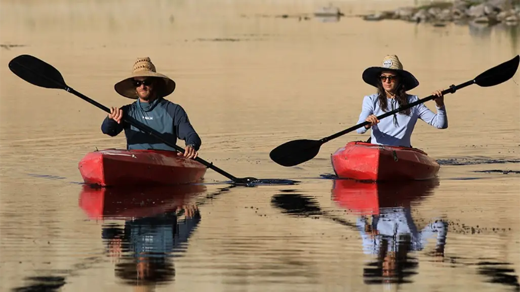 Kayak en Comondú: ¿cuál es la ruta más completa para remar?