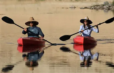 Kayak en Comondú: ¿cuál es la ruta más completa para remar?