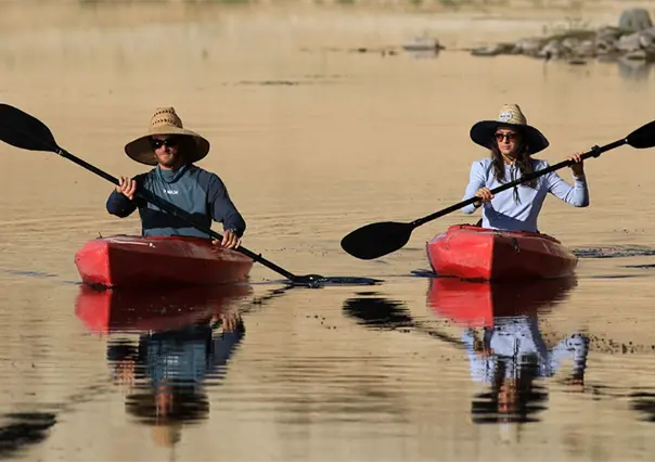 Kayak en Comondú: ¿cuál es la ruta más completa para remar?