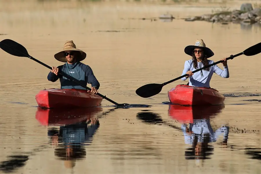 Kayak en Comondú: ¿cuál es la ruta más completa para remar?