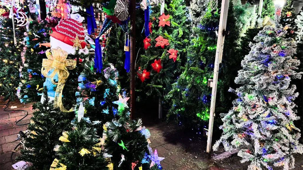 Feria del Pino 2025 ilumina Navidad en Guadalupe: horarios, precios y todo lo que encontrarás