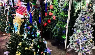 Feria del Pino 2025 ilumina Navidad en Guadalupe: horarios, precios y todo lo que encontrarás