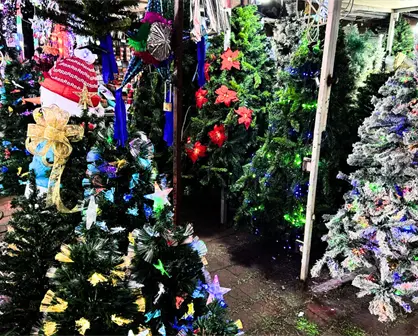 Feria del Pino 2025 ilumina Navidad en Guadalupe: horarios, precios y todo lo que encontrarás