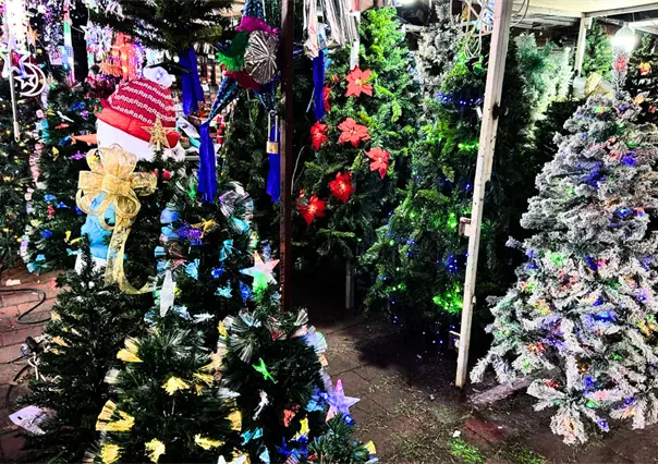 Feria del Pino 2025 ilumina Navidad en Guadalupe: horarios, precios y todo lo que encontrarás