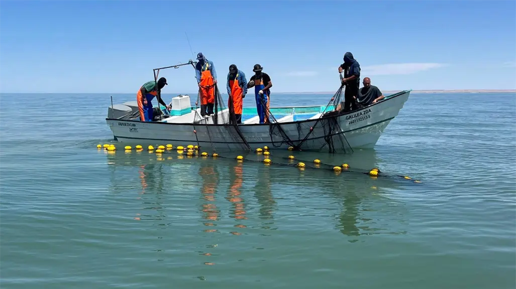 "Ya estamos cansados": pescadores de Baja California anuncian posible cierre carretero