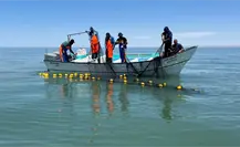 “Ya estamos cansados”: pescadores de Baja California anuncian posible cierre carretero “Ya estamos cansados”: pescadores de Baja California anuncian posible cierre carretero