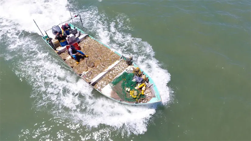 imagen recuadro Pescadores del Alto Golfo navegan con su carga rumbo a tierra; el sector advierte que podría sumarse a los cierres carreteros si no hay acuerdos inmediatos. Foto: Carlos Alberto Tirado Pineda / Facebook