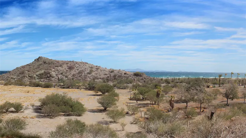 Vista del paisaje donde se pretende habilitar caminos, plataformas y una casa de playa de dos niveles. Foto: Camarón Beach House