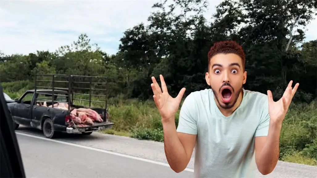 Volcadura de camión con cochinitos desata rapiña y caos vial en la Mérida–Izamal