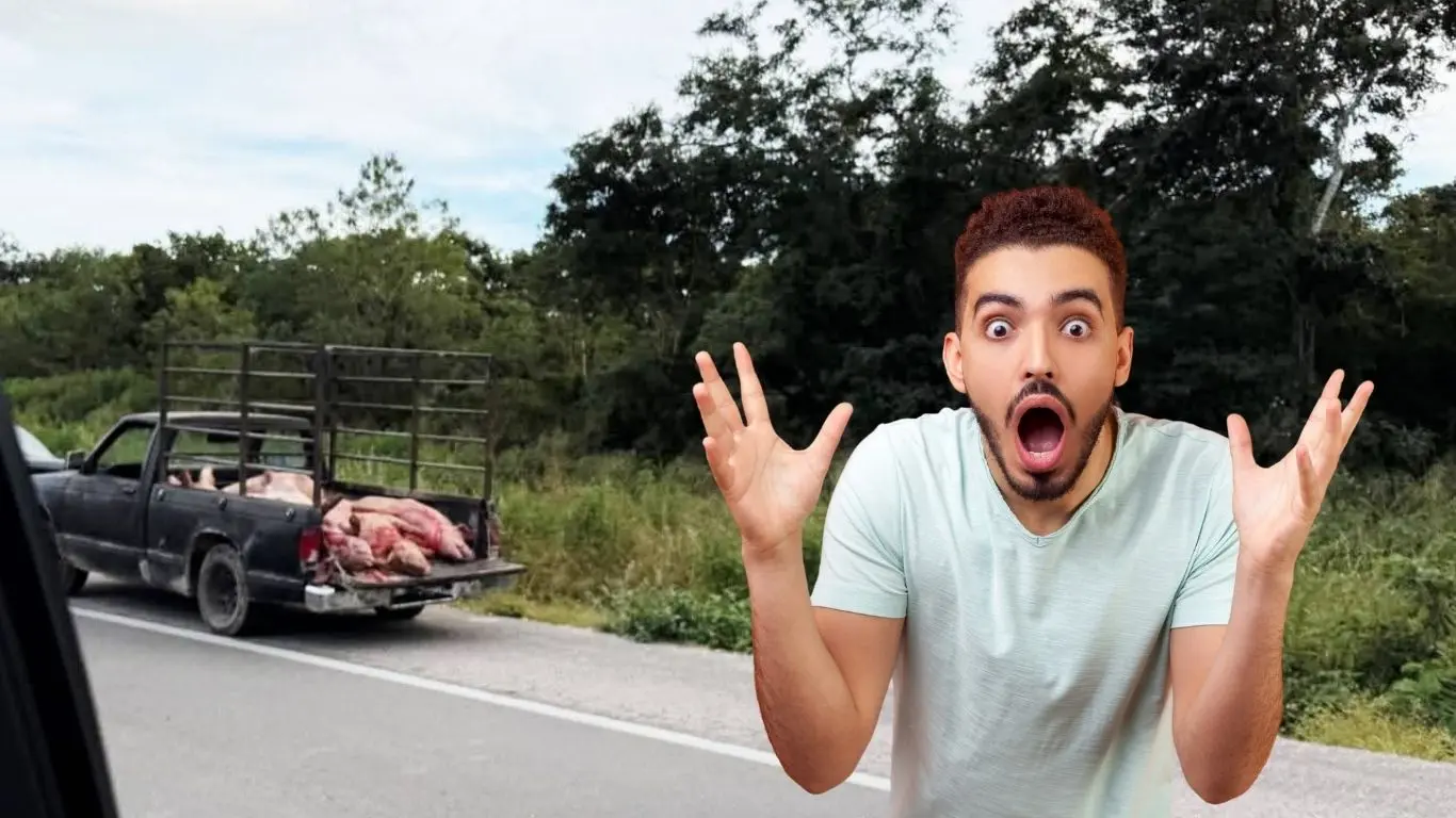 El tramo carretero permaneció cerrado de manera parcial. Foto: Canva / Redes sociales