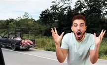 Volcadura de camión con cochinitos desata rapiña y caos vial en la Mérida–Izamal Volcadura de camión con cochinitos desata rapiña y caos vial en la Mérida–Izamal