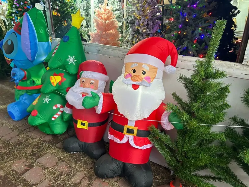 La Feria del Pino 2025 se establece en Guadalupe, ofreciendo un espacio encantador para disfrutar de la temporada navideña. Foto: Jorge López