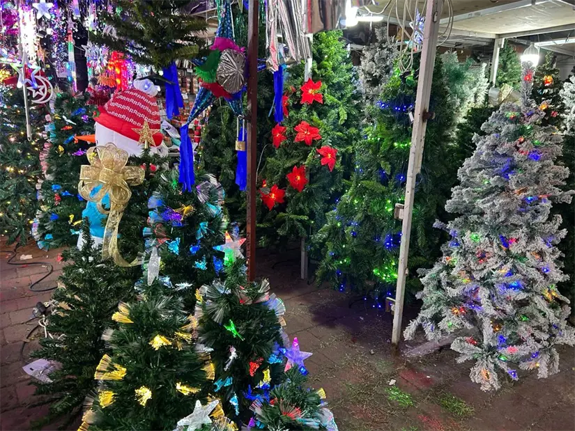 Guadalupe da la bienvenida a la Navidad con la Feria del Pino 2025, un evento lleno de magia y tradiciones. Foto: Jorge López
