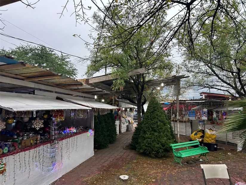 Este año la Feria del Pino en Guadalupe ofrece un ambiente festivo con árboles, decoraciones y luces en venta. Foto: Jorge López
