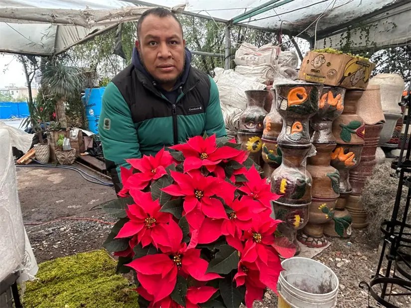 imagen recuadro Con la llegada de diciembre, Monterrey se transforma con la llegada de las nochebuenas, anticipando la magia de la Navidad. Foto: Rosy Sandoval
