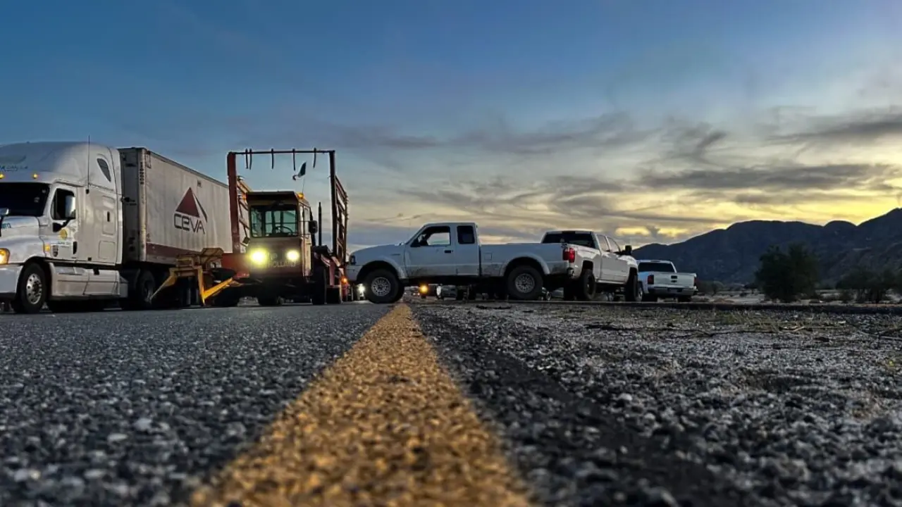 Foto: Alfredo Álvarez.