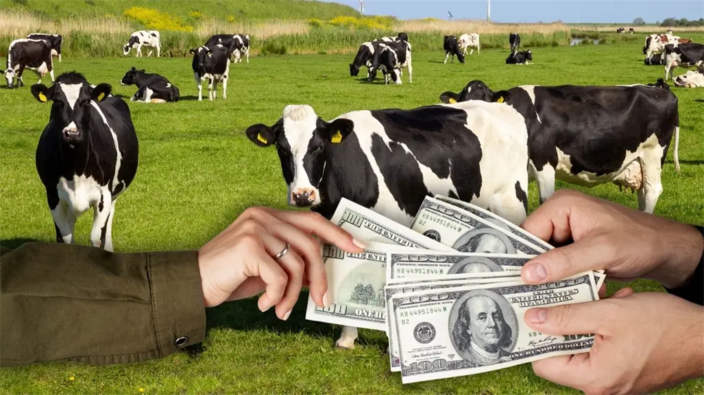 Seder Yucatán investiga presunto desvío de 160 mdp en la UGROY