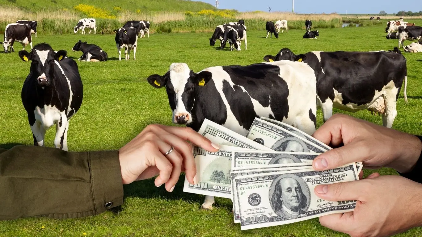 La foto es ilustrativa sobre los 160 millones de pesos que la UGROY recibió en la administración pasada. Foto: Canva / Adity Cupil