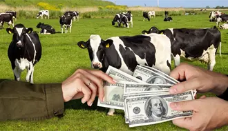 Seder Yucatán investiga presunto desvío de 160 mdp en la UGROY