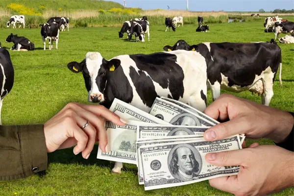 Seder Yucatán investiga presunto desvío de 160 mdp en la UGROY