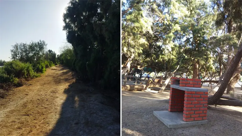 imagen recuadro Senderos y áreas arboladas del Ecoparque, espacio que colinda con la zona donde se proyecta instalar la estación de transferencia. Foto: POSTA Baja California Sur