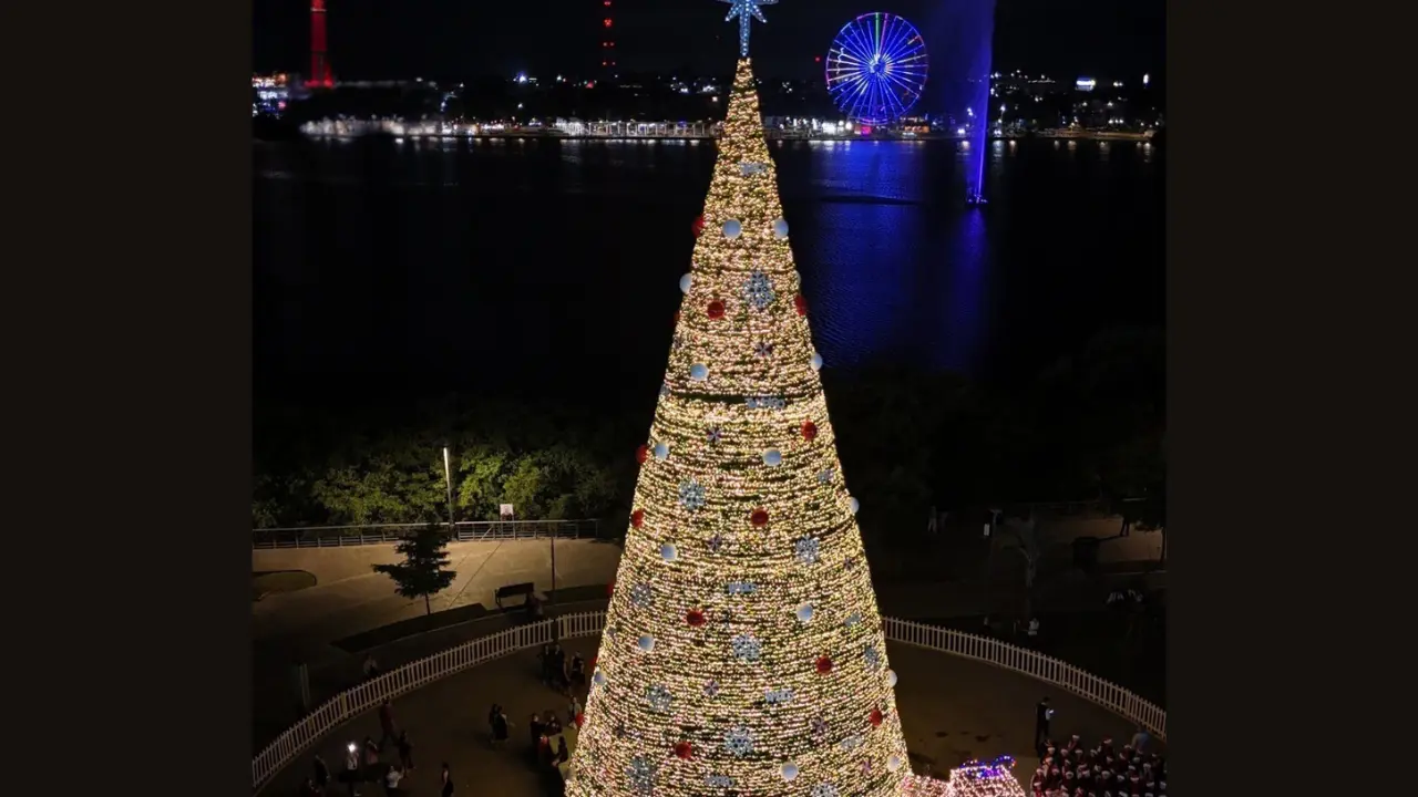El encendido del pino un espectáculo que esperan chicos y grandes en Tampico | Foto: Facebook